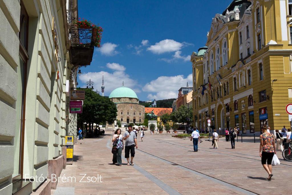 Ferienwohnung 35 Vendeghaz Pécs Zimmer foto